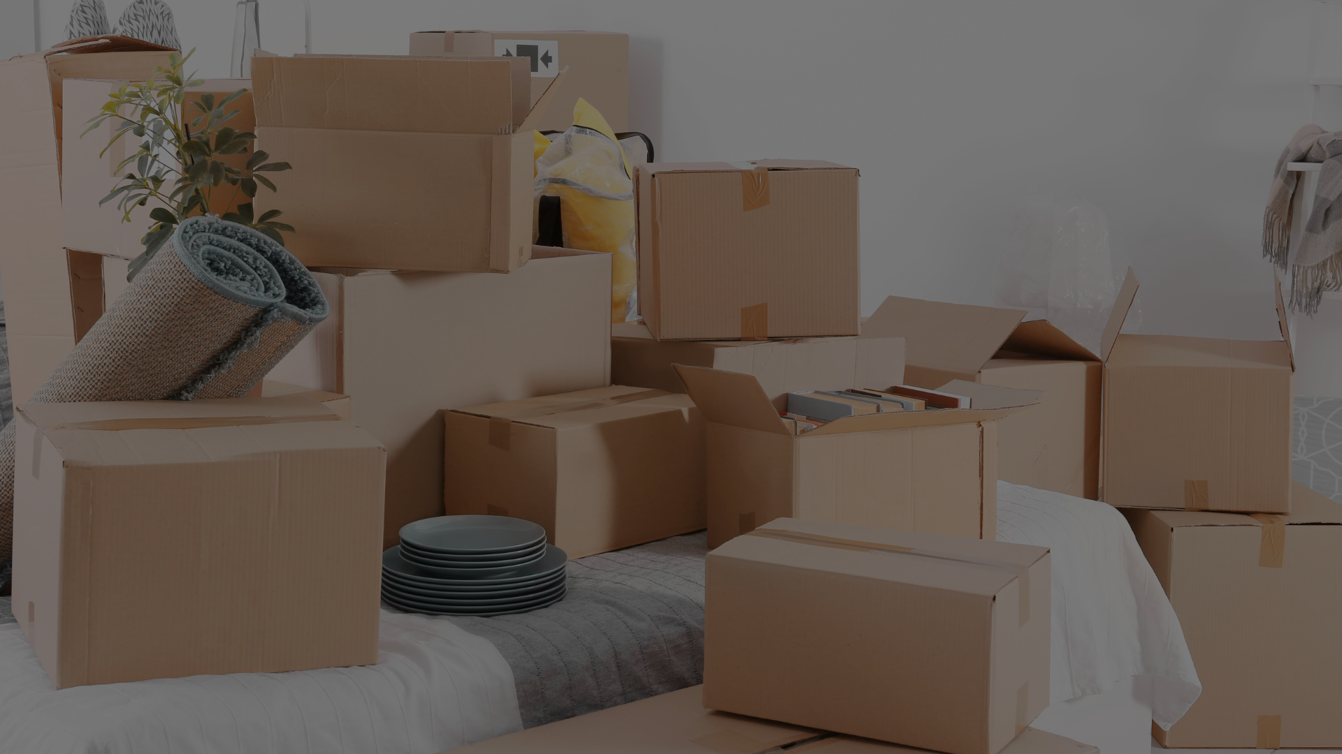 Senior Moves Ancaster