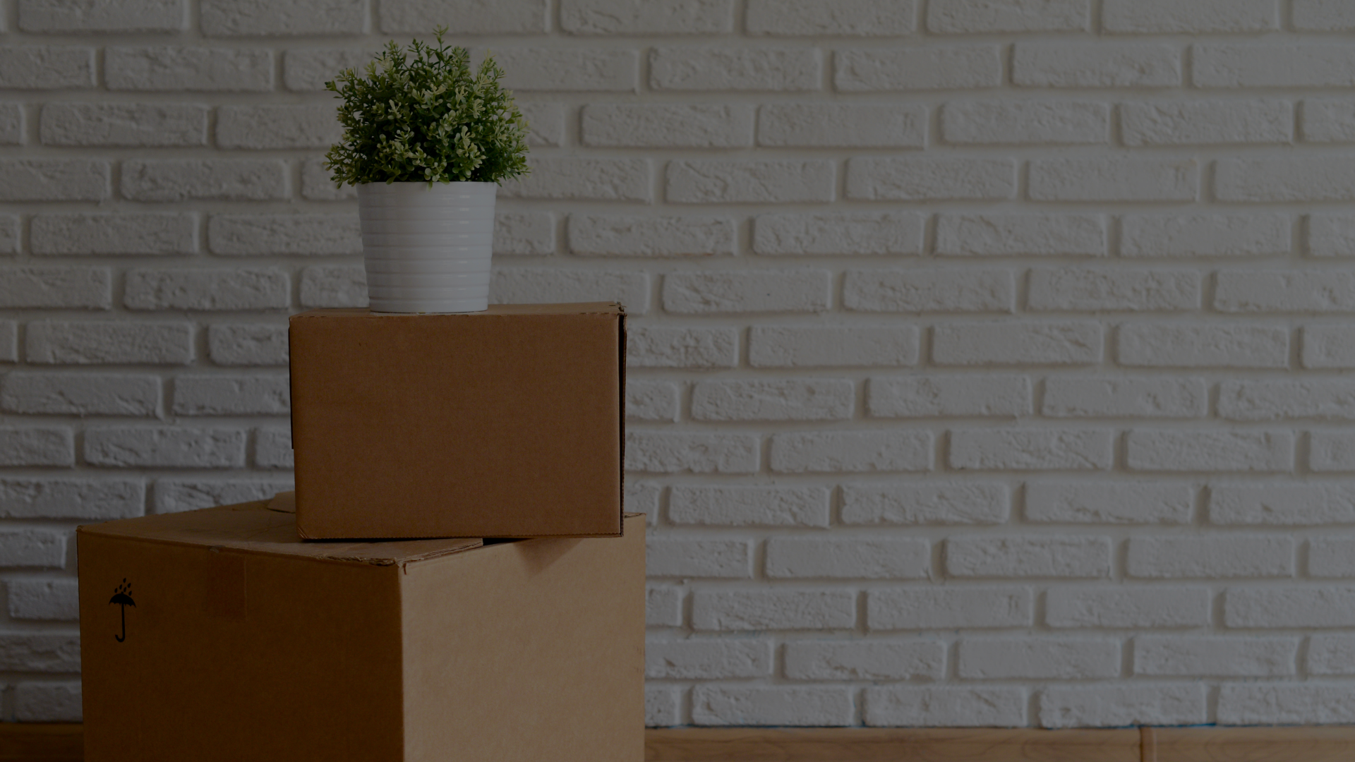 Senior Moves Stoney Creek