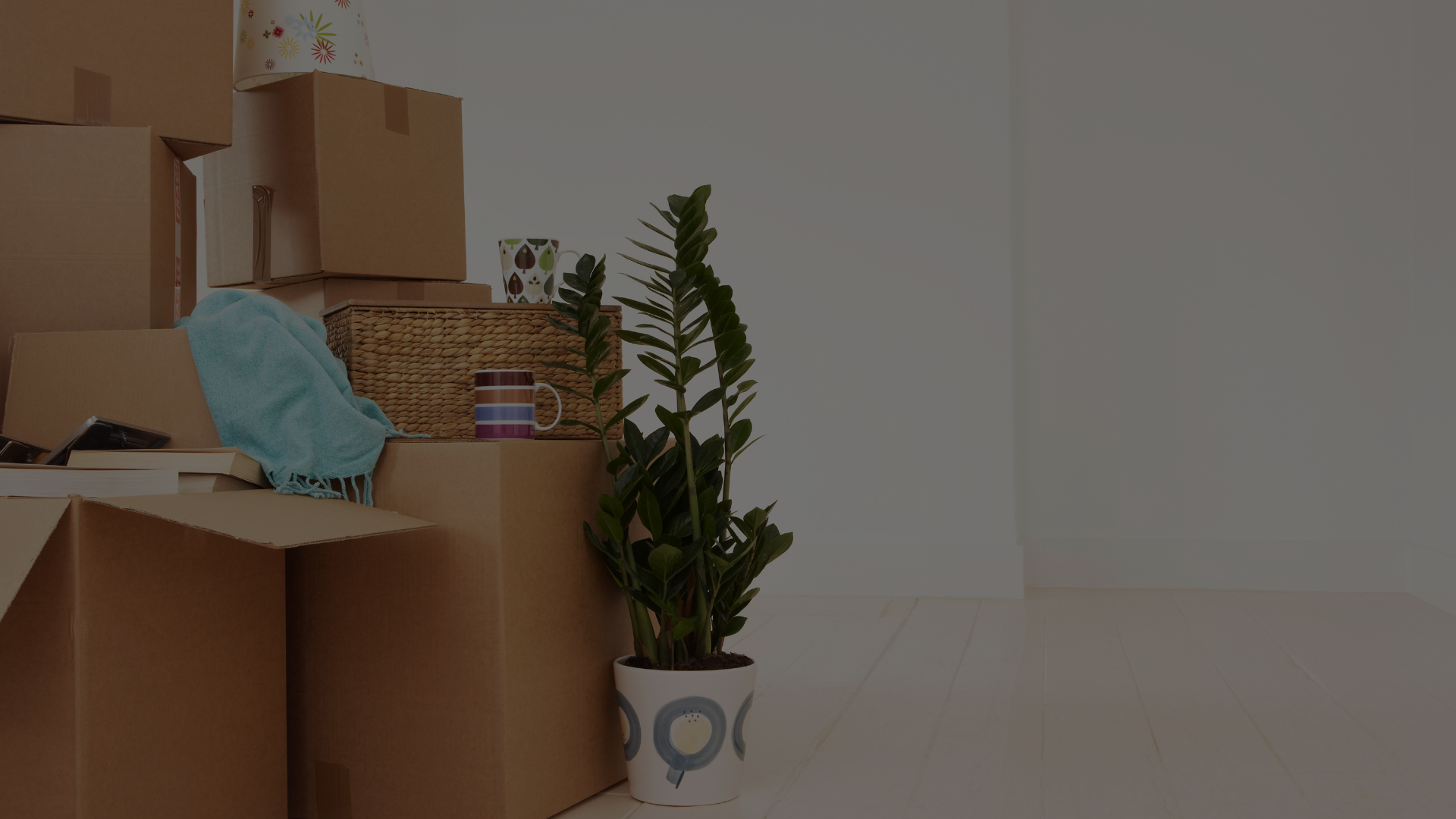 Senior Moves Burlington